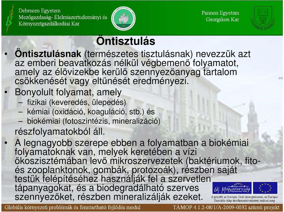 ) és biokémiai (fotoszintézis, mineralizáció) részfolyamatokból áll.