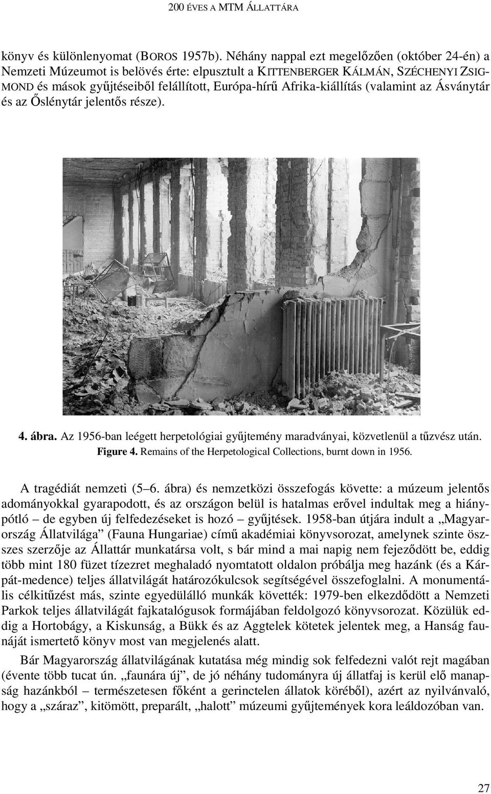 (valamint az Ásványtár és az İslénytár jelentıs része). 4. ábra. Az 1956-ban leégett herpetológiai győjtemény maradványai, közvetlenül a tőzvész után. Figure 4.