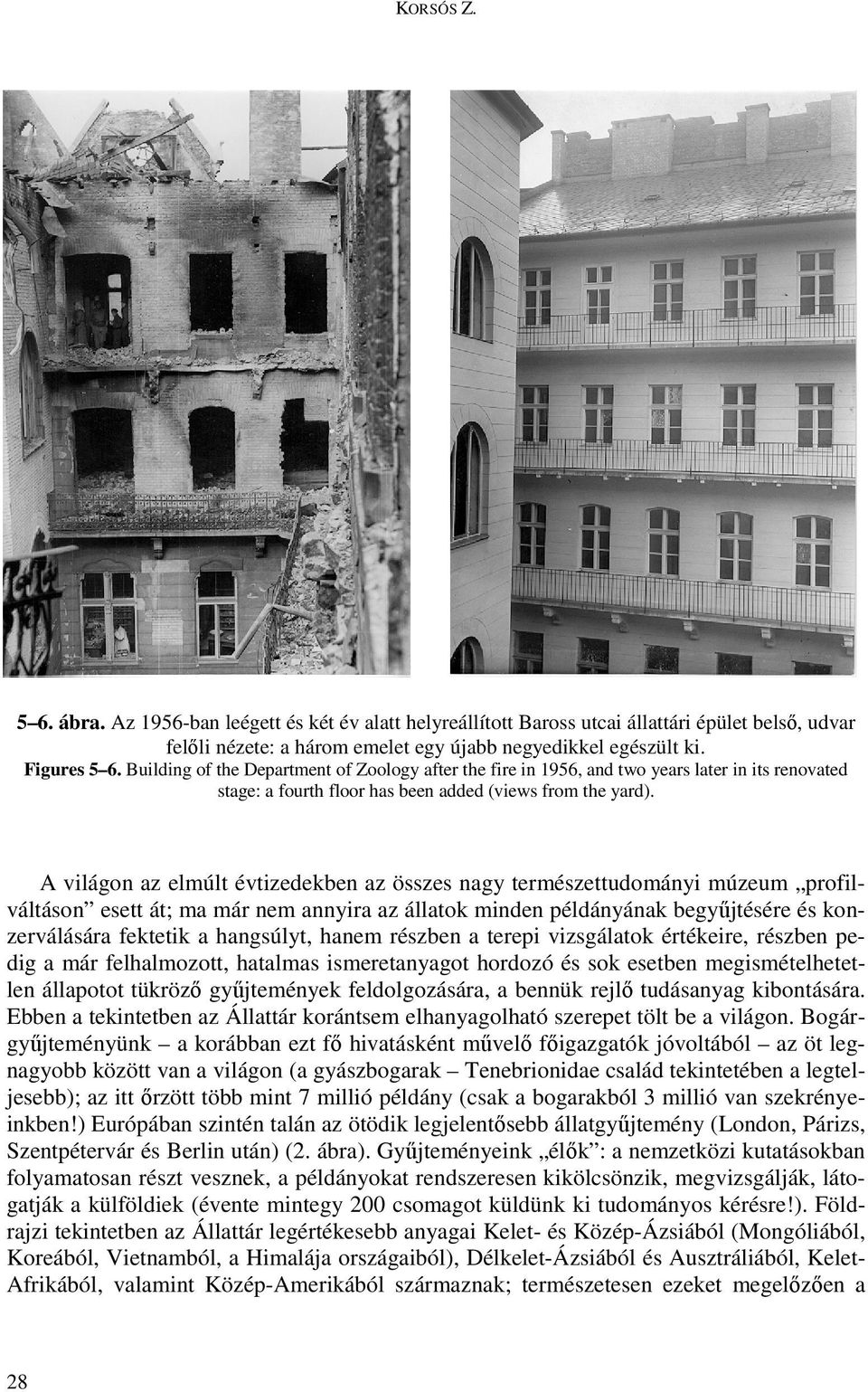 A világon az elmúlt évtizedekben az összes nagy természettudományi múzeum profilváltáson esett át; ma már nem annyira az állatok minden példányának begyőjtésére és konzerválására fektetik a