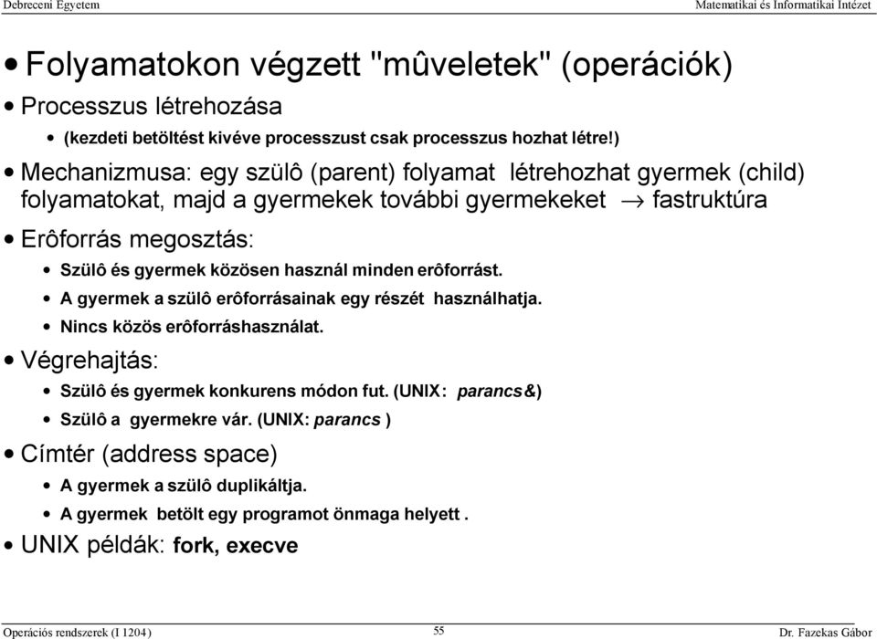 gyermek közösen használ minden erôforrást. A gyermek a szülô erôforrásainak egy részét használhatja. Nincs közös erôforráshasználat.