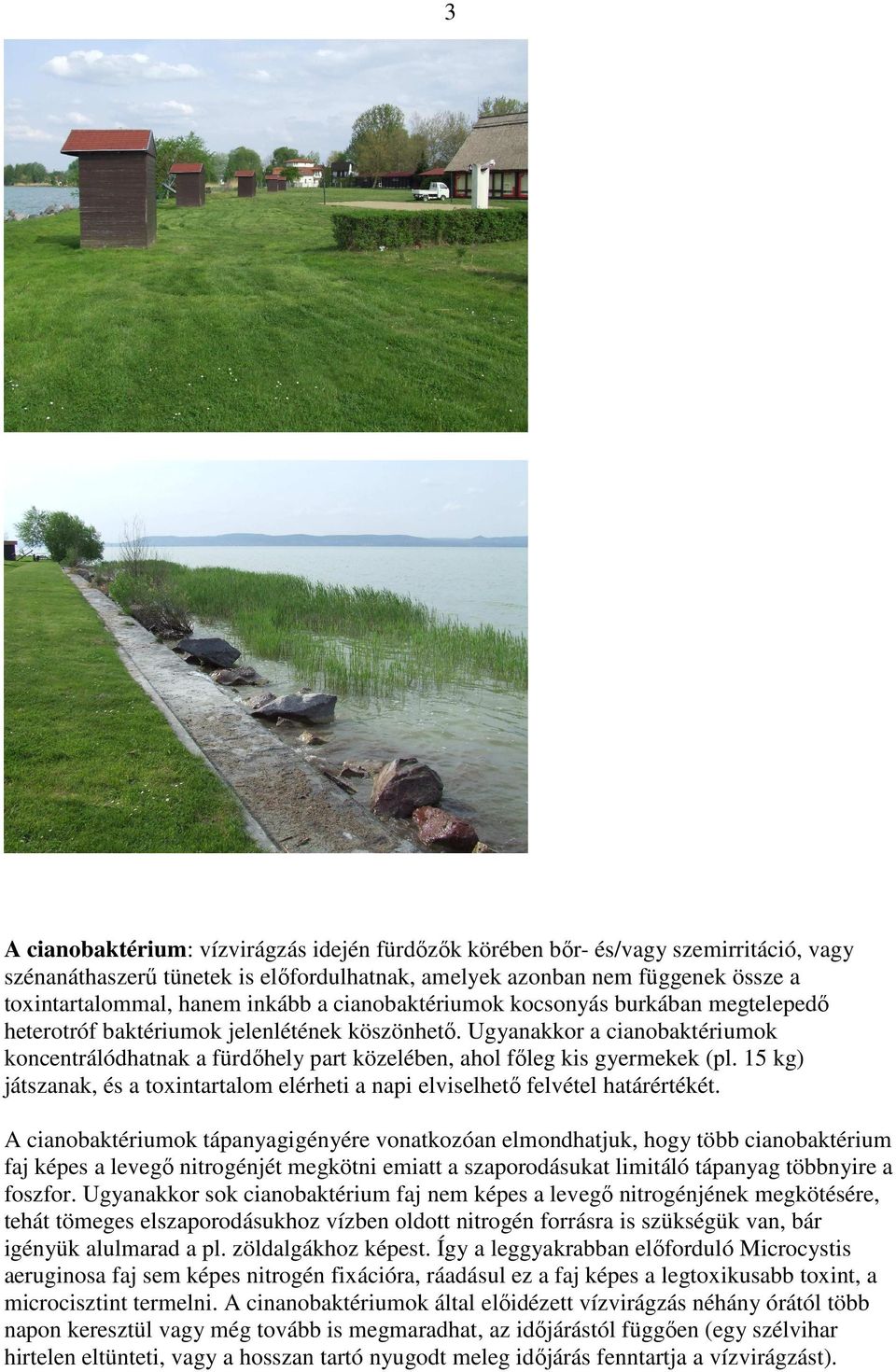 Ugyanakkor a cianobaktériumok koncentrálódhatnak a fürdıhely part közelében, ahol fıleg kis gyermekek (pl. 15 kg) játszanak, és a toxintartalom elérheti a napi elviselhetı felvétel határértékét.