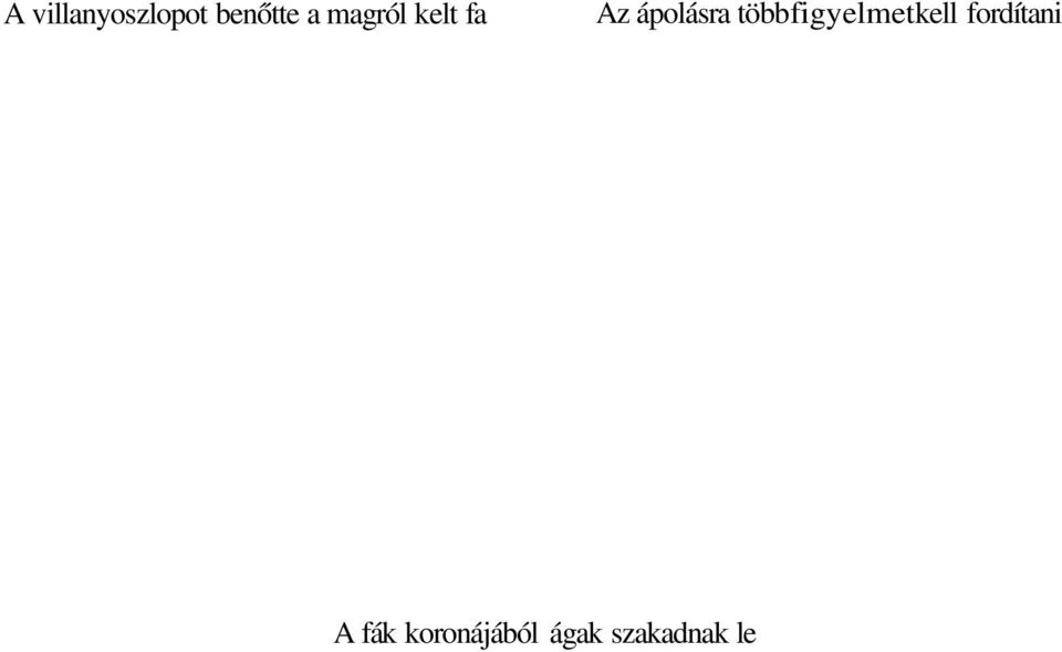 többfigyelmetkell fordítani A