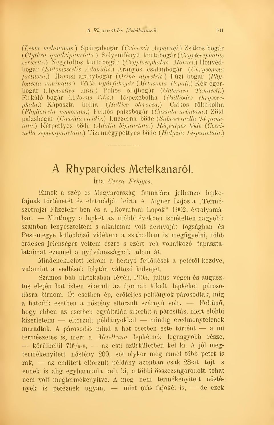 ) Vörös nyárfabogár (Melasoma Populi.) Kék égerbogár (Agelastica Alni) Pohos olajbogár (Oaleruca Tana ceti.) Firkáló bogár (Adoocus Vitis.) Repczebolha (Psilliodes chrysocephala.
