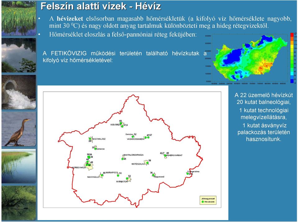 Hőmérséklet eloszlás a felső-pannóniai réteg feküjében: 350000 A FETIKÖVIZIG működési területén található hévízkutak a kifolyó víz hőmérsékletével: 300000