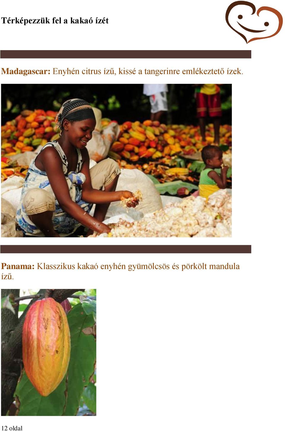 Panama: Klasszikus kakaó enyhén