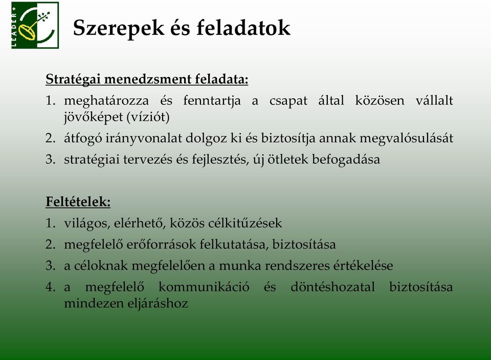 {tfogó ir{nyvonalat dolgoz ki és biztosítja annak megvalósul{s{t 3.