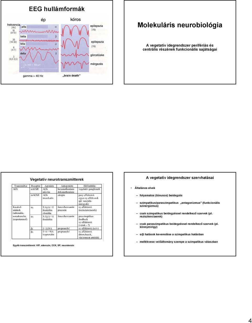 (funkcionális szinergizmus) csak szimpatikus beidegzéssel rendelkező szervek (pl. rezisztenciaerek) csak paraszimpatikus beidegzéssel rendelkező szervek (pl.