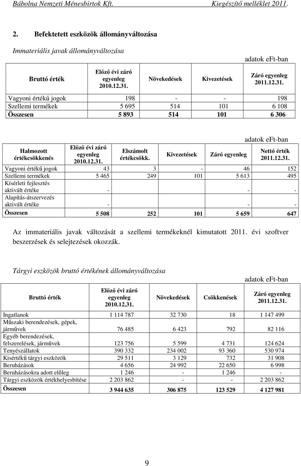 Vagyoni értékű jogok 198 - - 198 Szellemi termékek 5 695 514 101 6 108 Összesen 5 893 514 101 6 306 Halmozott értékcsökkenés Előző évi záró egyenleg 2010.12.31. Elszámolt értékcsökk.