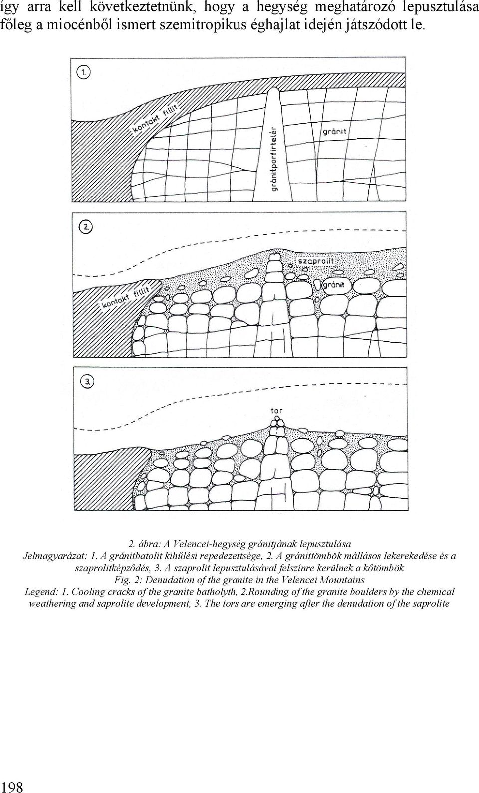 A gránittömbök mállásos lekerekedése és a szaprolitképződés, 3. A szaprolit lepusztulásával felszínre kerülnek a kőtömbök Fig.