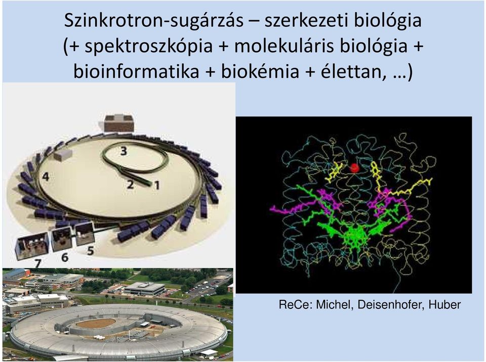 molekuláris biológia + bioinformatika