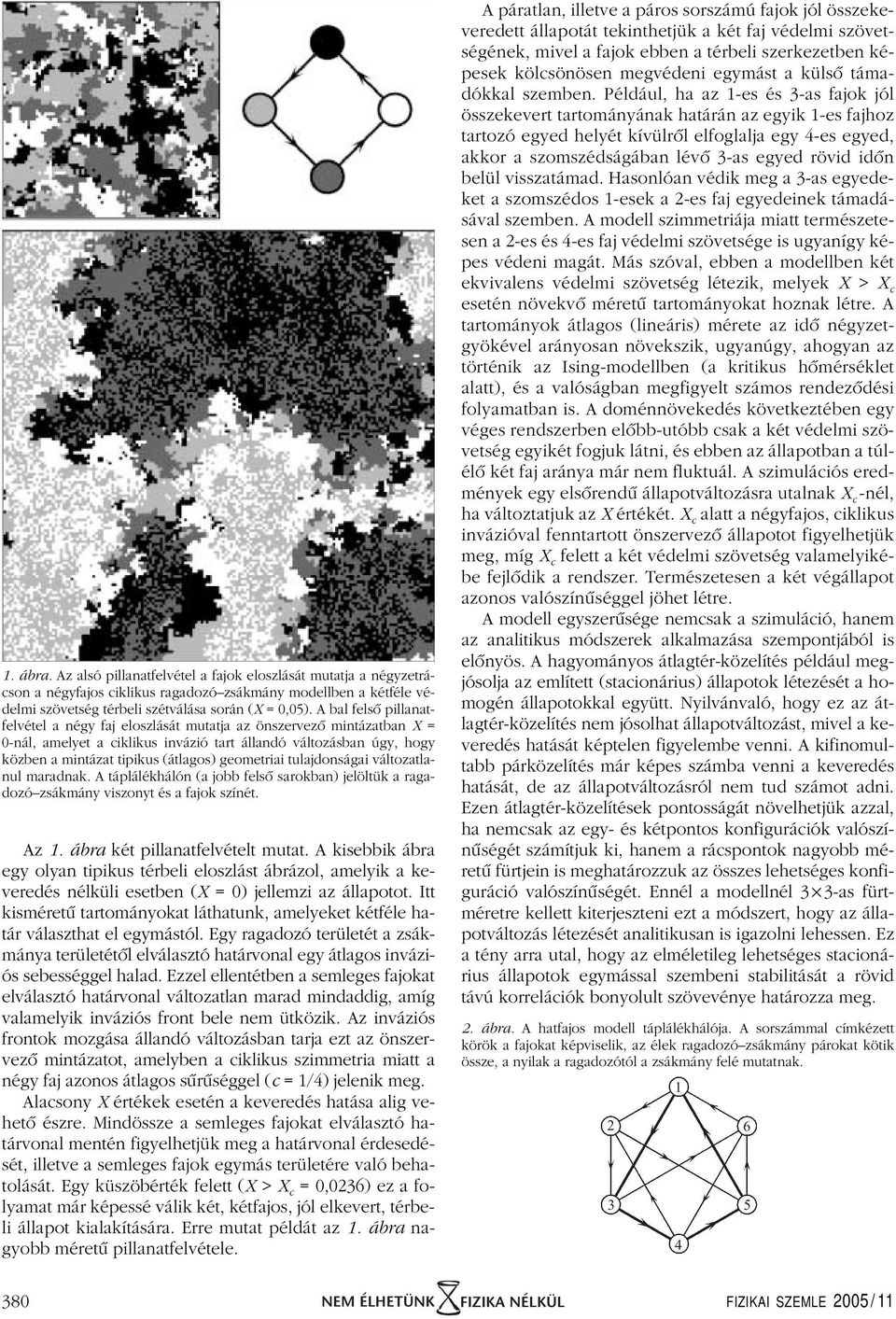 geometriai tulajdonságai változatlanul maradnak. A táplálékhálón (a jobb felsô sarokban) jelöltük a ragadozózsákmány viszonyt és a fajok színét. Az 1. ábra két pillanatfelvételt mutat.