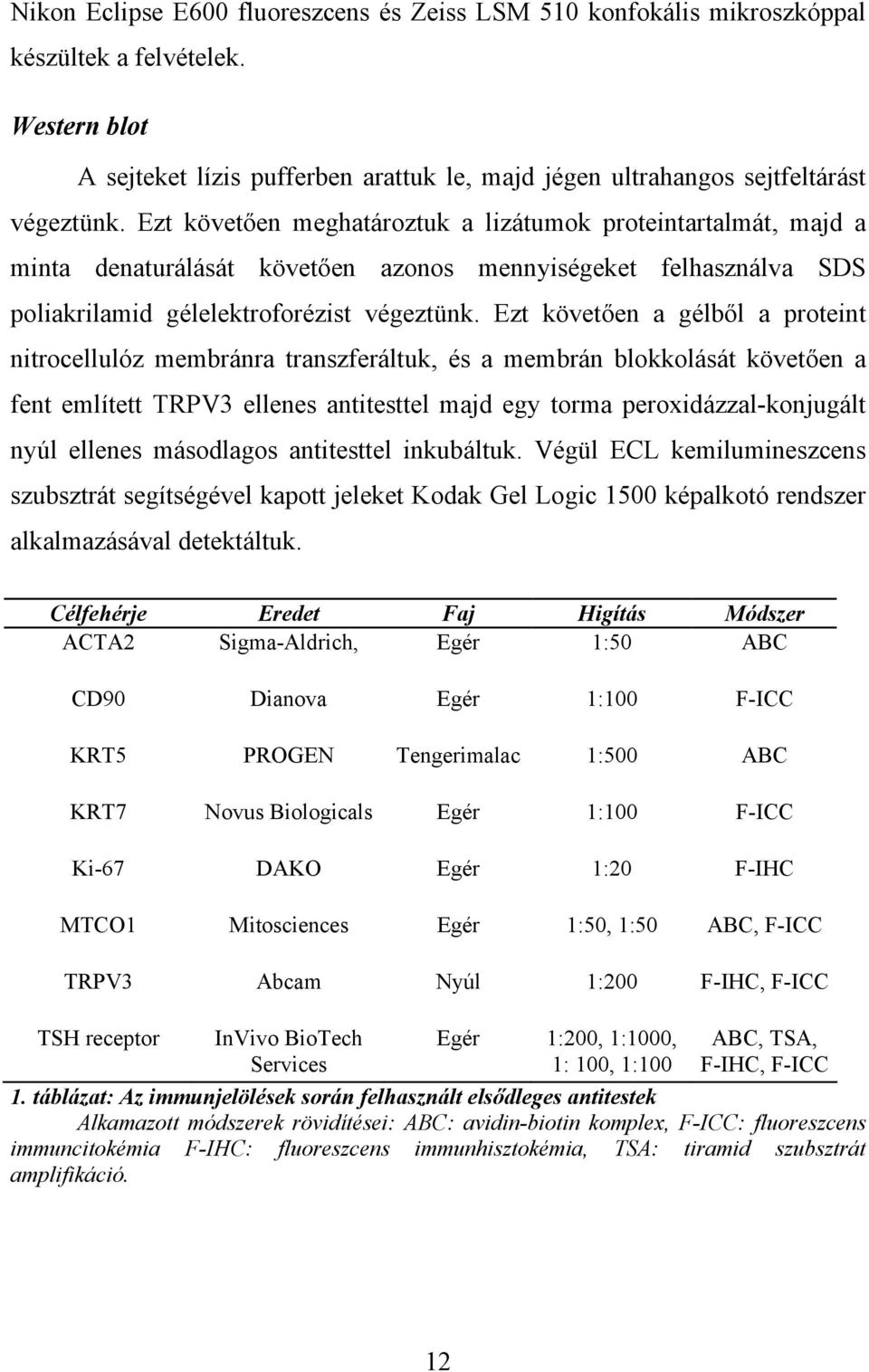 Ezt követően a gélből a proteint nitrocellulóz membránra transzferáltuk, és a membrán blokkolását követően a fent említett TRPV3 ellenes antitesttel majd egy torma peroxidázzal-konjugált nyúl ellenes