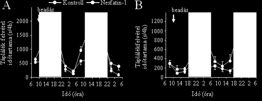 cirkadian ritmusa (az idő hatása: F (11,99) =10,5; p<0,01, az esti beadás esetében, és F (11,121) =5,83; p<0,01 a nappali beadás esetében), de ennek amplitúdója kisebb volt a kezelt állatoknál, mint
