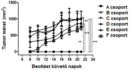 4.2.3.6. Az elektroporáció hatása melanómás egér modellben A tumor megjelenése a kezeletlen egerek és a hatóanyag tartalmú LLC klasszikus alkalmazása mellett a 8. napon történt.