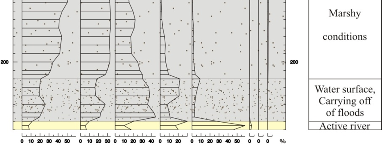 On the southern part of Vár Pond sedimentary processes were also present. After the termination of its riverbed-function, shallow lake- or marshy characteristics evolved gradually.