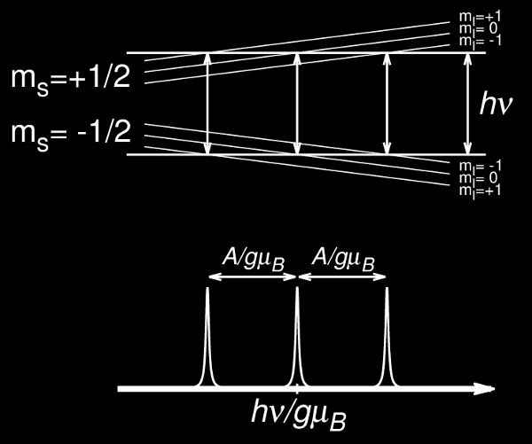4. ábra. Az ESR-spektrum hiperfinom felhasadása S=1/2, I=1 esetén. mellett B 0 változtatásával vesszük föl, ezért a 4. ábra ilyen nézőpontból is megmutatja a hiperfinom felhasadást.