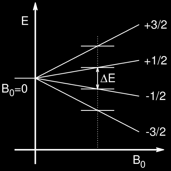 1. ábra. Zeeman-felhasadás j = 3/2 esetén. Példaképpen az 1. ábra j = 3/2 esetére mutatja a Zeeman-felhasadást.