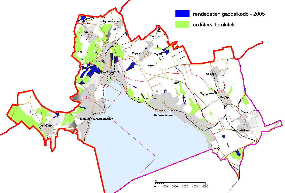 42 Vajai Dániel 1.