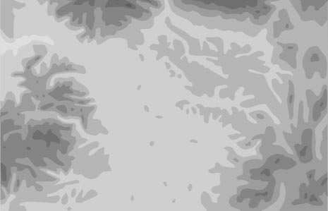 É 0 50 km Kis-Szamos Kolozsvár 272 107 198 204 Maros 140 Kis-Küküllõ 311 214 370 261 76 Nagy-Küküllõ 216 217 301 62 292 296 186 264 243 282 Segesvár 227 206 246 12 15. század vége, Márton mester 15.