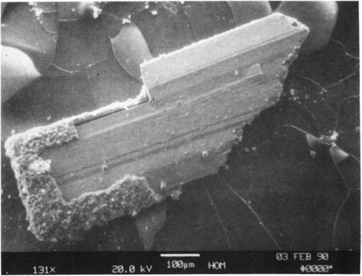 SZAKÁLL S.: Pszeudobrookit és harmotom a Mátrából 289 2. ábra. Pszeudobrookit táblás kristálya, Pásztó-Mátrakeresztes (pásztázó elektronmikroszkópos felvétel). Fig. 2. Pseudobrookite, tabular crystal from Pásztó-Mátrakeresztes (scanning electron micrograph).