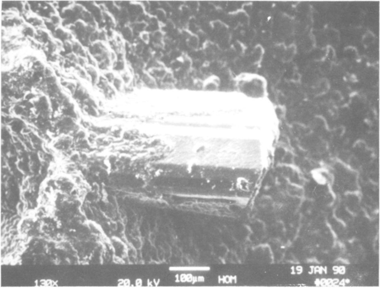 Földtani Közlöny 122/2 4 3. ábra. Pszeudobrookit kristály a kőzetüreg falán, Pásztó-Mátrakeresztes (pásztázó elektronmikroszkópos felvétel). Fig. 3. Pseudobrookite crystal on the wall of a cavity, Pásztó-Mátrakeresztes (scanning electron micrograph).