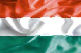 Eurotransplant 7 ország Németország Horvátország, Szlovénia Ausztria Benelux 2012 január -Magyarország részleges 2013 július - végleges Kaphatunk sürgős szervet Fölösleges szerveket felajánljuk Saját