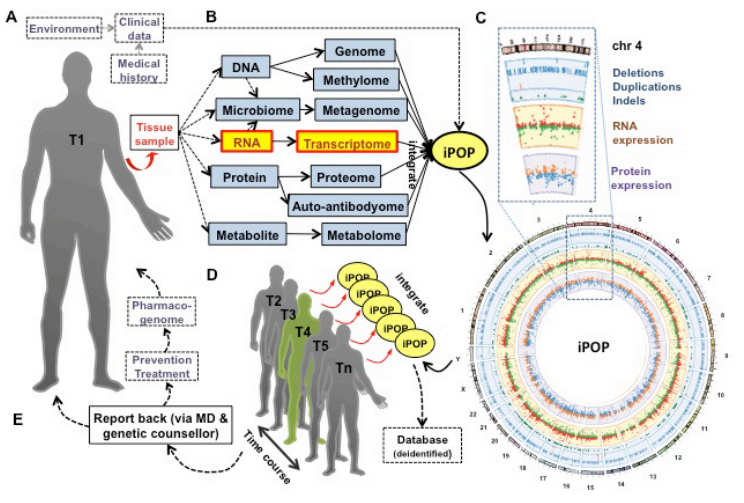 Integrative Personal Omics Profiling (ipop)