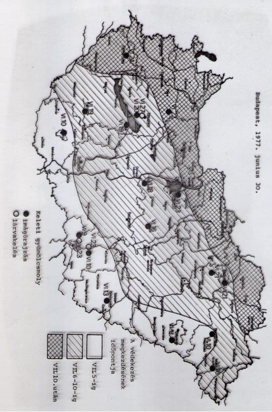 Adatok elemzése Tipus-1 és Tipus-3: