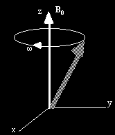 Eredő magspinű magok külső mágneses térben S=1/2 S=1 I I μ z = z S μ = γi = ( S + 1) mh/ 2π = = γi z h mh S: magspin I: impulzusnyomaték μ: