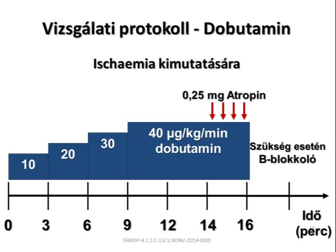 teszt előtt legalább 12 órával kerülnie kell a koffein tartalmú italok fogyasztását (adenozin A2A receptor kompetitív antagonista).