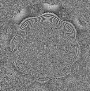 a. b. 3.5-13. ábra: Rekonstruált digitális holografikus interferogramok fázisképei a 2x2 drizzle módszer alkalmazásával. A tárgy középpontjának elmozdulása 5 µm (a.) és 20 µm (b.) volt.
