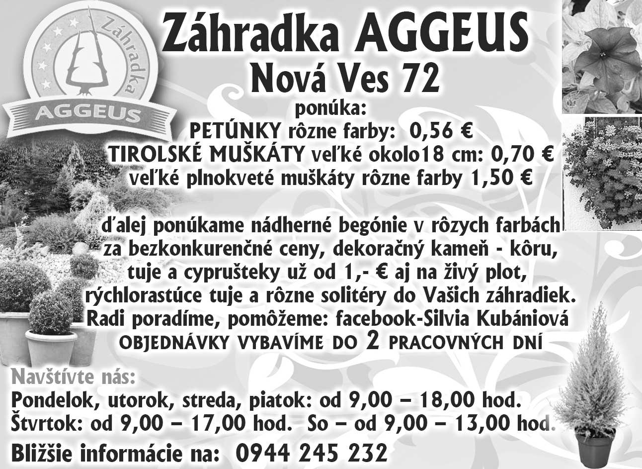 12 / 20. máj 2013 VODNÁR - 20. 1. - 18. 2. Na pracovisku sa budú dni tohto týždňa pre vaše znamenie niesť v du chu pohody a pokoja.