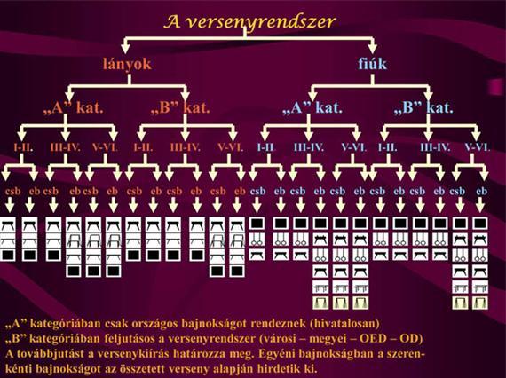 A diáktornaversenyek szabályai A gyakorlatok olyan elemeket is tartalmazhatnak, melyek nincsenek a Nemzetközi Torna Szövetség (FIG) kódjában.