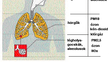 LEVEGŐTISZTASÁGVÉDELEM