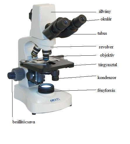 4 1. A fénymikroszkóp használata 1. Nevezd meg az ábrán a mikroszkóp részeit! 2. Válassz ki három növényi metszetet a készletből és vizsgáld meg őket önállóan!