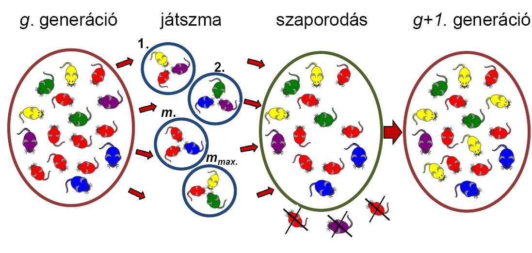 3. fejezet A modell 3.1. ábra.