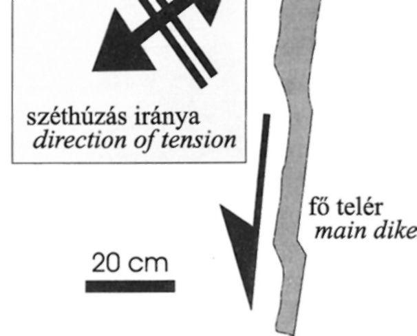 258 Földtani Közlöny 13212 átkötő telérszakasz\ connecting dikelet \ i ±S oblique \ * segment 8. ábra. Ferdén kinyíló, É-D-i csapású márga telér a Sas-hegy déli oldalán (VI. blokk).