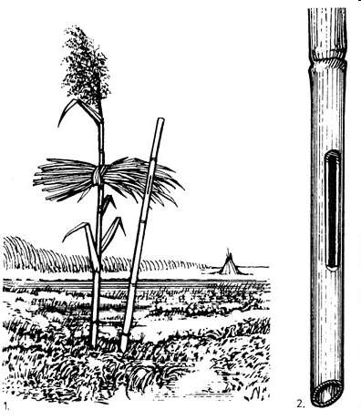 A lápi kút, a nádkút az alföldi nádvágók, halászok, régebben a csikászok, pákászok (Ecsedi-láp) 1 2,5 m hosszú, erős nádból készült ivócsöve.