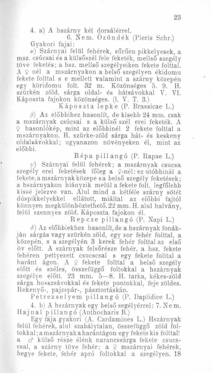 fajfeletti kategóriákat jelölnek, de alkalmazásuk nem következetes (4. ábra). Cserey munkáját követte Ortvay Tivadar (1843-1916) is (lásd Ortvay 1902). 4. ábra. A 23.