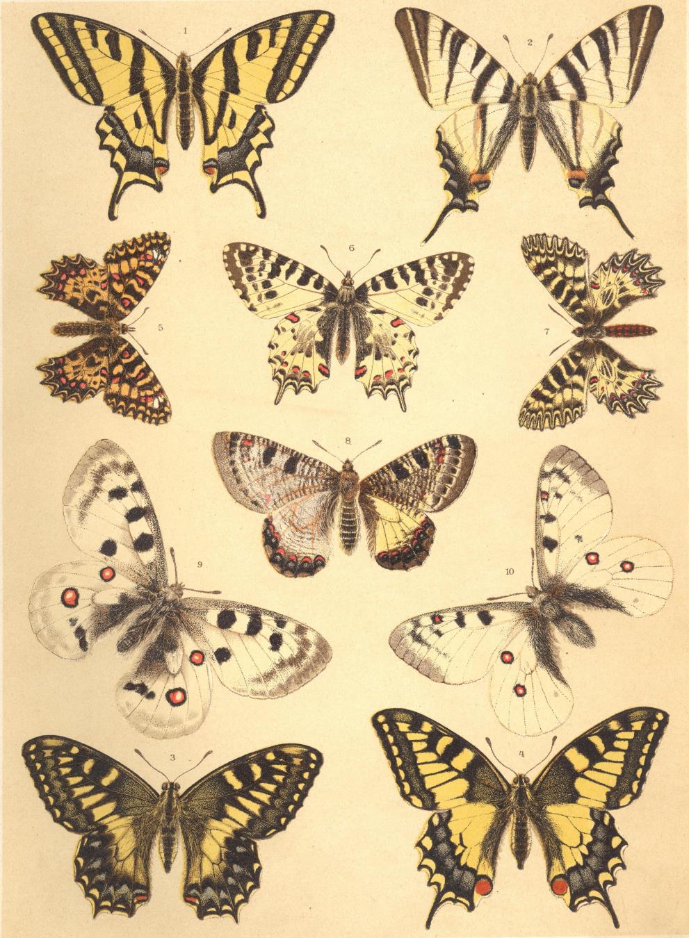 75
