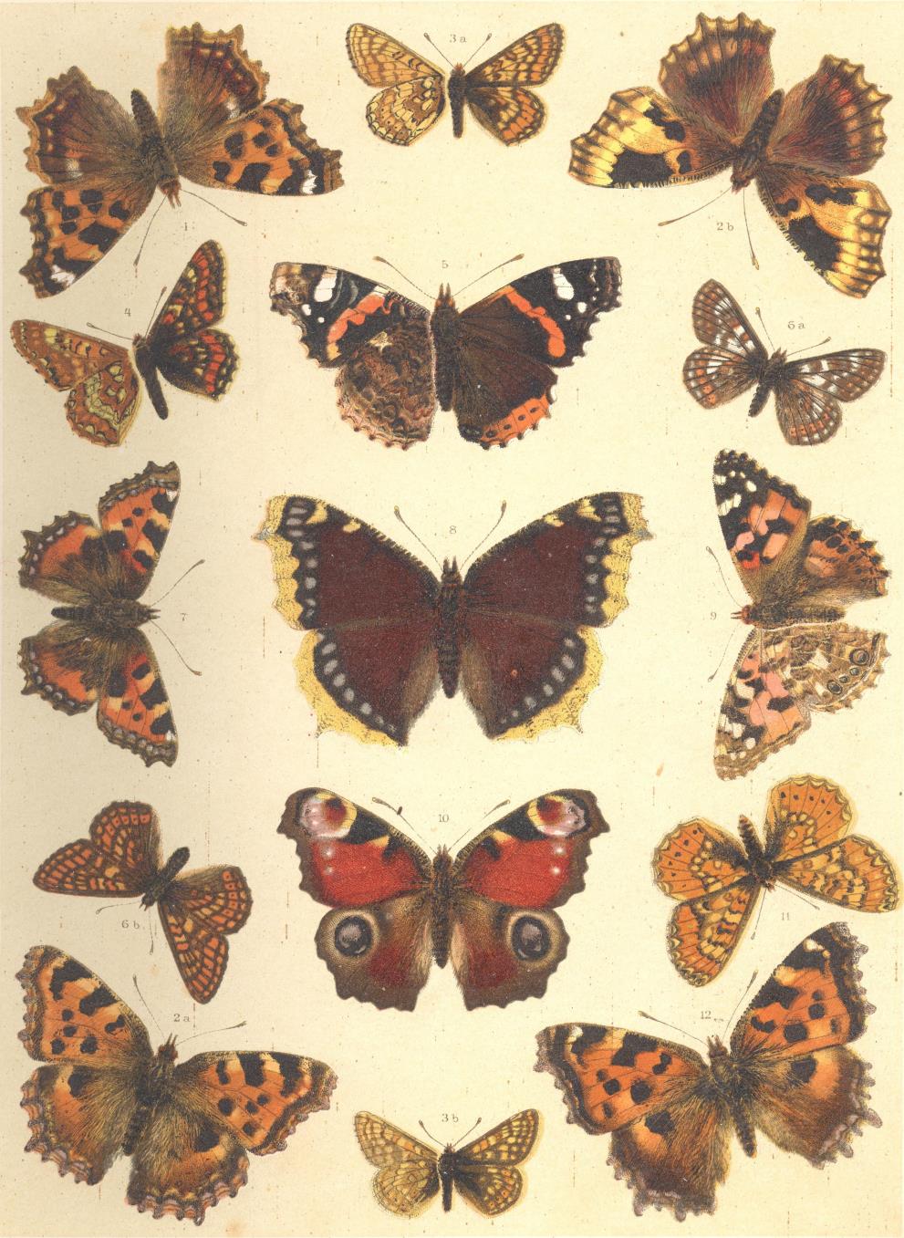 85