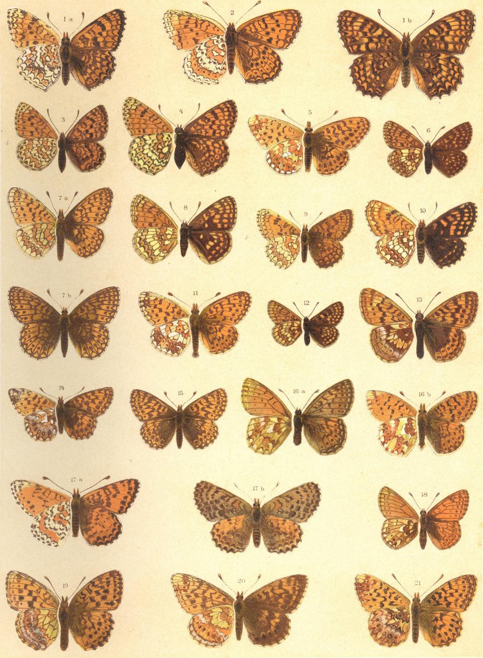87