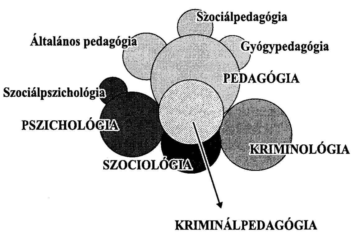 fogalmát úgy tudományterületként, mint a konstruktív életvezetés megalapozásának pedagógiai rendszereként értelmezi. A kriminálpedagógia helye a tudományok rendszerében 1.