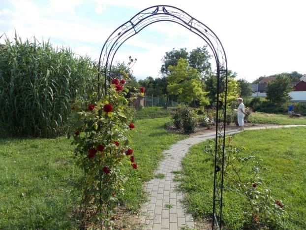 Köztéri szobrok, emlékművek, keresztek Szent István Park