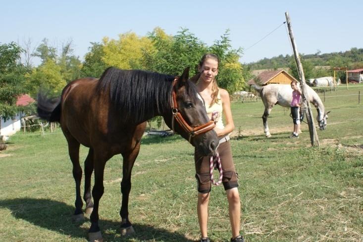 A gyűjtés időpontjáról nincs pontos adat, csak következtetni lehet, hogy a hetvenes években keletkezhetett. Élet a faluban Nyim civil szervezetek 8612 Nyim, Fő utca 26.