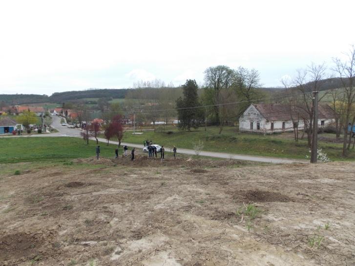Vízelvezető árkok tisztítása Pihenő park