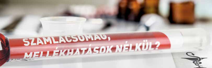 Esettanulmány A Budapest Bank üzleti eredményessége és ügyfelei elégedettsége érdekében minden kampányában törekszik a személyre szabott, releváns kommunikációra, igyekszik mindezt figyelemfelkeltő