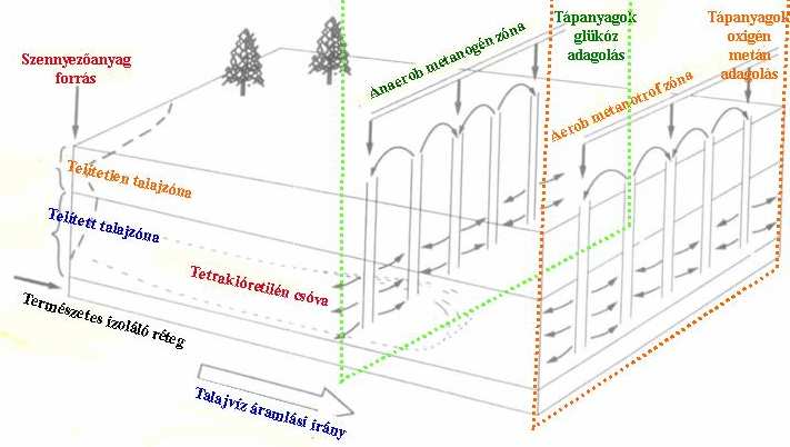 negatív redoxpotenciálon. A két- és háromfázisú talaj határán, ahol a víznél könnyebb szénhidrogén típusú szennyezıanyagok általában elhelyezkednek, a nitrátlégzés dominál.