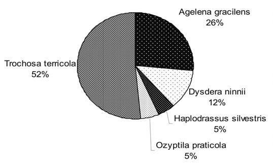 Üst N. & Farkas S.: Talajlakó pókfajainak vizsgálata 7 A csapdákat 2011 márciusában elején helyeztük el, majd ezt követően három hetenként ürítettük őket.