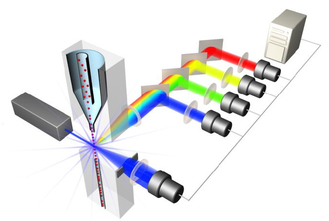 4.4. Az áramlási citometria Az áramlási citometria [66] alkalmazásával egyszerre mérhető önálló részecskék és sejtek fényszórási és fluoreszcens tulajdonsága.